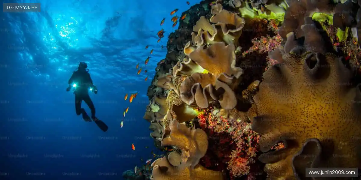 沸腾吧!🏀🏆 体育赛事,点燃你的无限可能!
