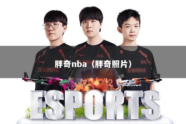 胖奇nba（胖奇照片）