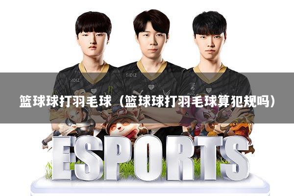 篮球球打羽毛球（篮球球打羽毛球算犯规吗）
