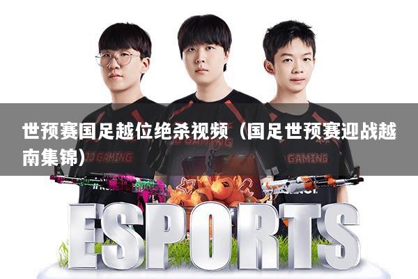 世预赛国足越位绝杀视频(国足世预赛迎战越南集锦)