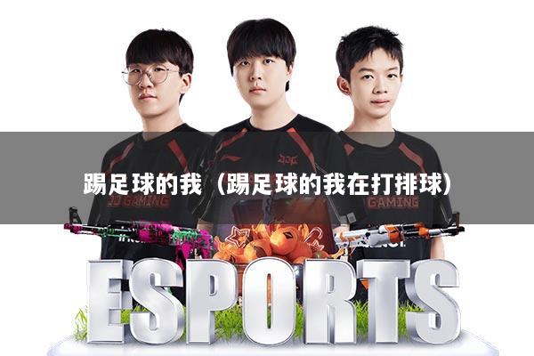 踢足球的我（踢足球的我在打排球）