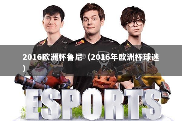 2016欧洲杯鲁尼(2016年欧洲杯球迷)