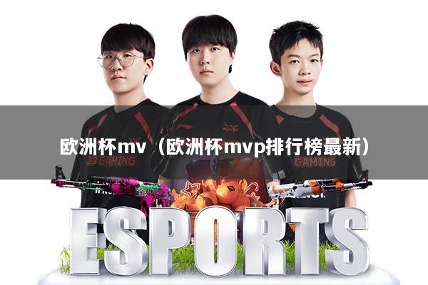 欧洲杯mv（欧洲杯mvp排行榜最新）